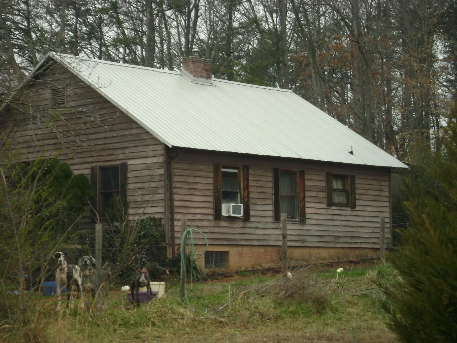 White metal roof on an old wood sided farmhouse, from a Asphalt Shingle Roof Repair job in Boston